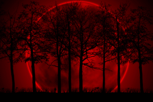 Red blood moon sky with silhouetted trees featured in Melodia Designs Detox Retox blog category